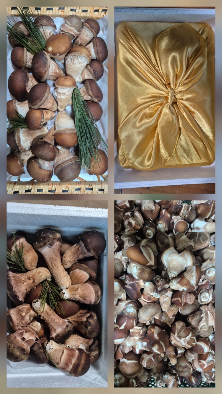 상품 구성 안내 이미지