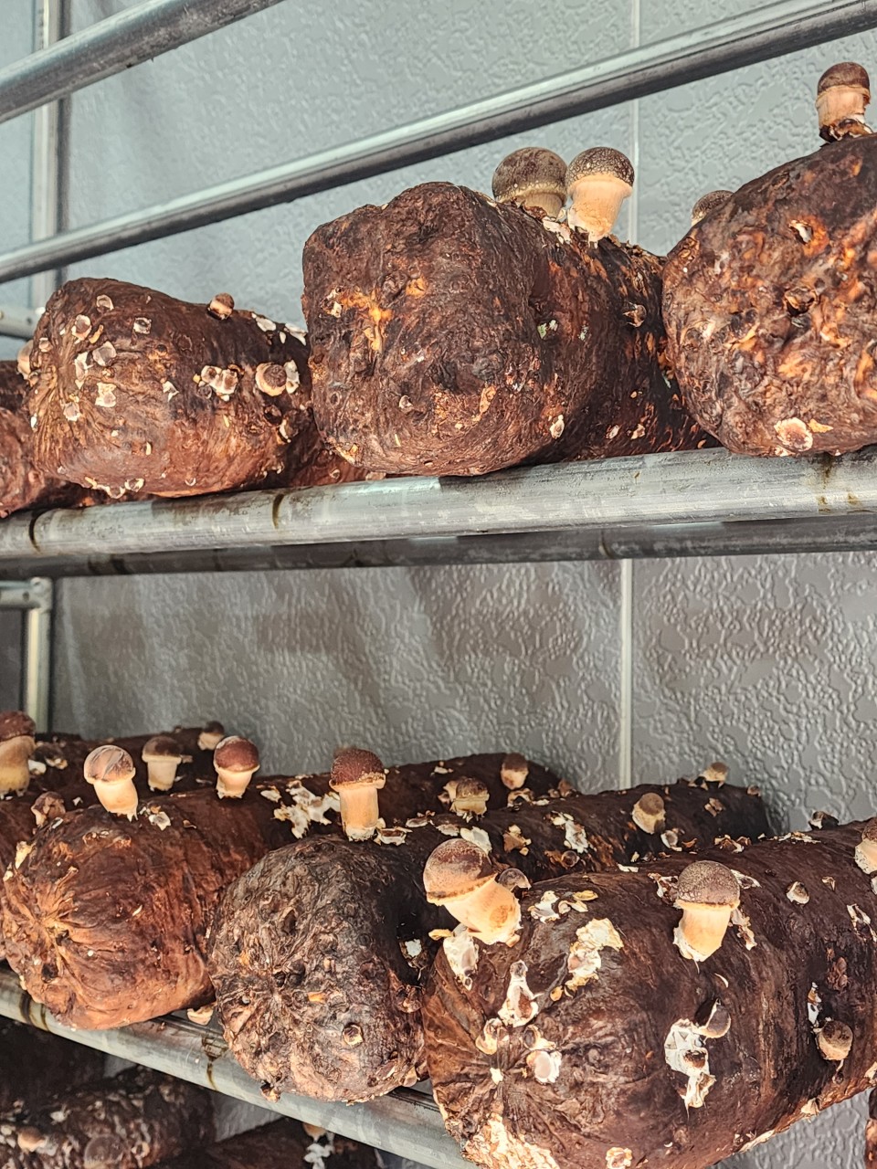 상품의 상태 이미지