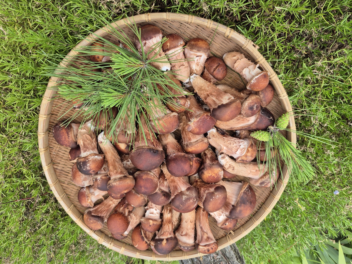 프리미엄 선물세트